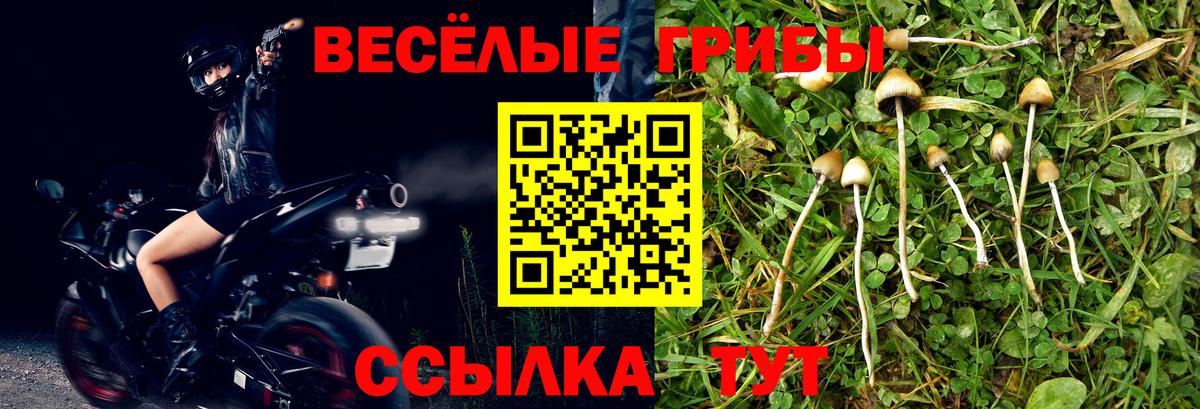 Псилоцибиновые грибы мицелий  Вход с VPN  Новочеркасск 